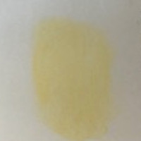 Νο. 102 - ξηρό παστέλ l'ecu Sennelier Naples yellow